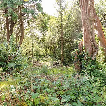 Semesterbostad Kealduff Lower *