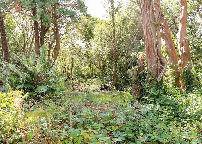 Feriehus Kealduff Lower *